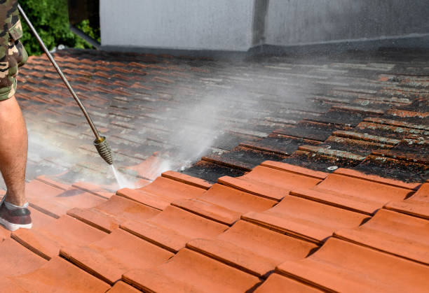 Best Best Pressure Washing Companies  in Duluth, MN