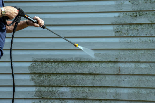 Best Deck Cleaning Services  in Duluth, MN