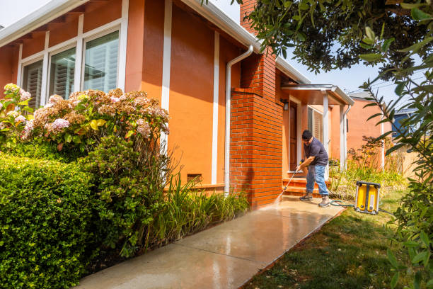 Best Exterior Home Cleaning  in Duluth, MN